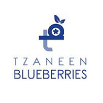 Tzaneen Blueberries