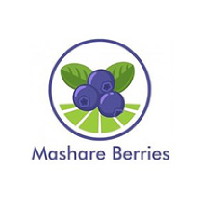 Mashare Berries